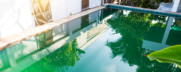 Tratamento de choque para piscina verde: tudo o que você precisa saber antes de fazer