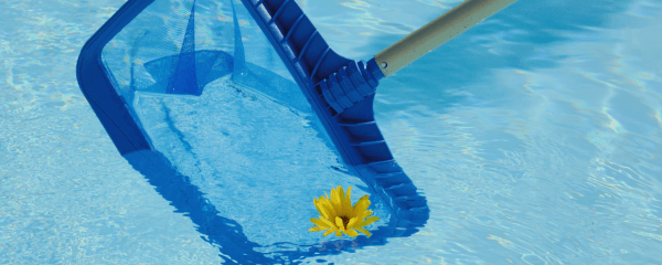 Como combatir la alergia al polen en una piscina