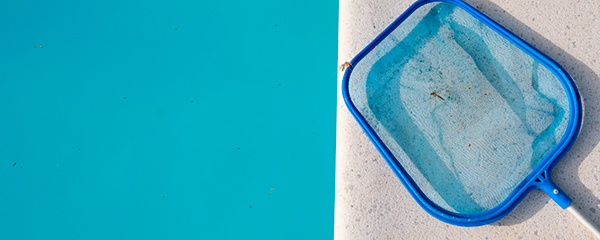 Eliminar las larvas de mosquito en piscina