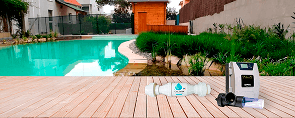 Biopiscinas: métodos para desinfectar el agua sin utilizar productos químicos 